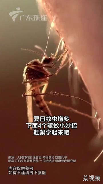 蚊子为啥总叮你？这几个驱蚊妙招学起来！#民生关注 #知识科普 #夏天 #蚊子 #健康科普