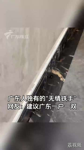 广东一男子室内徒手捉蟑螂，动作快准狠！网友：什么时候我也能练成这种无情铁手