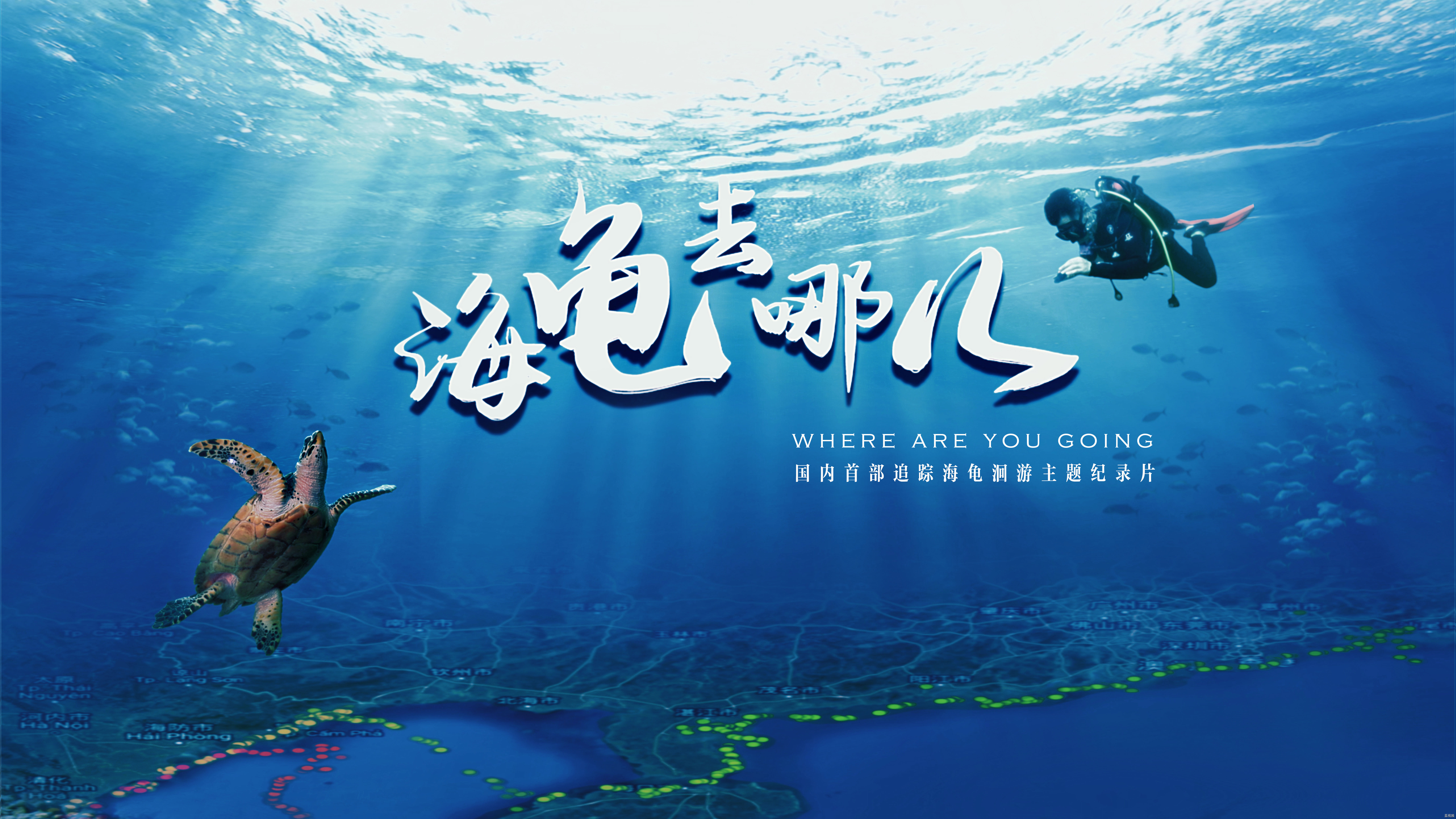 《海龟去哪儿》网络版
