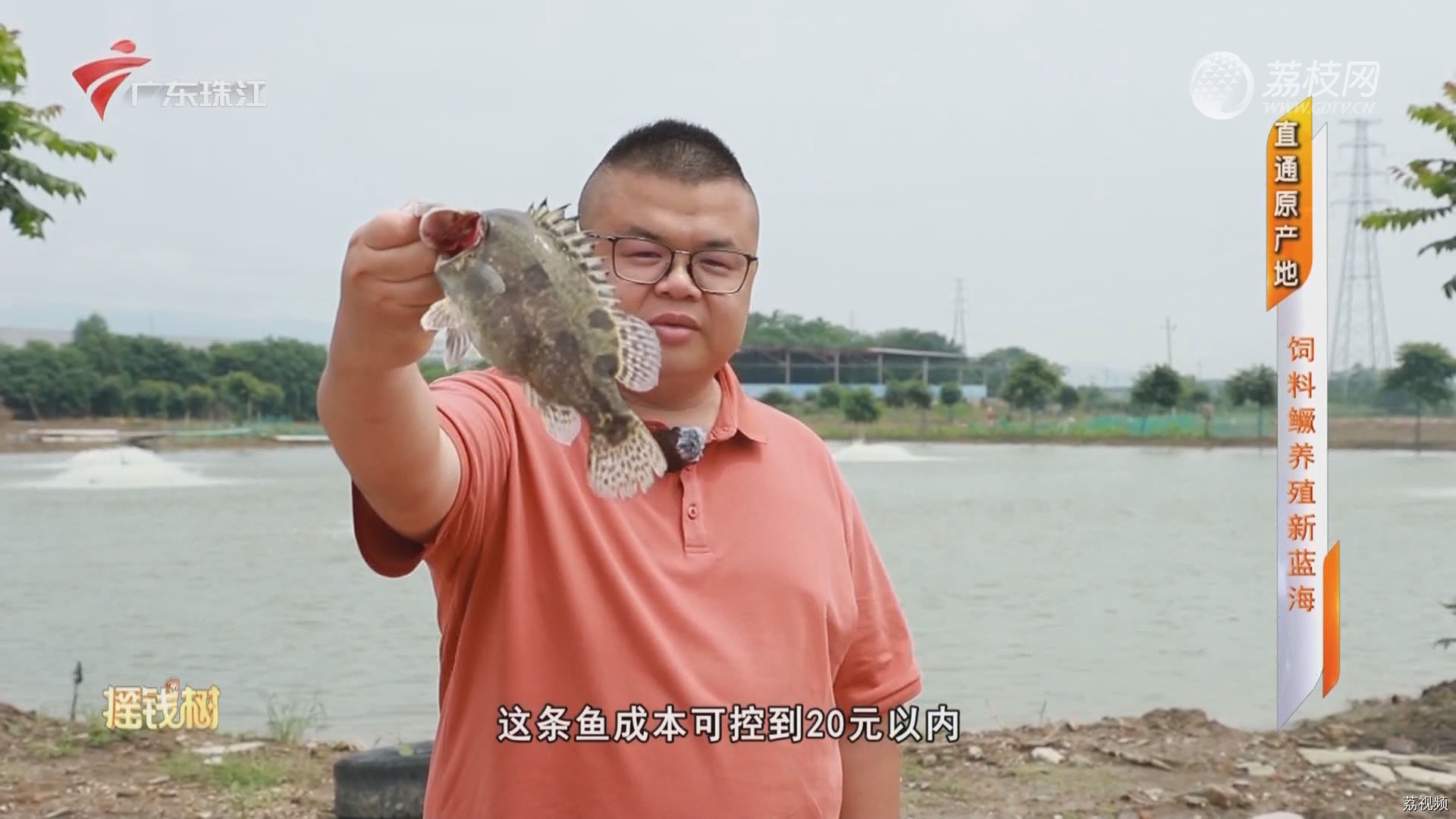 [2024-05-14]摇钱树：直通原产地：饲料鳜养殖新蓝海