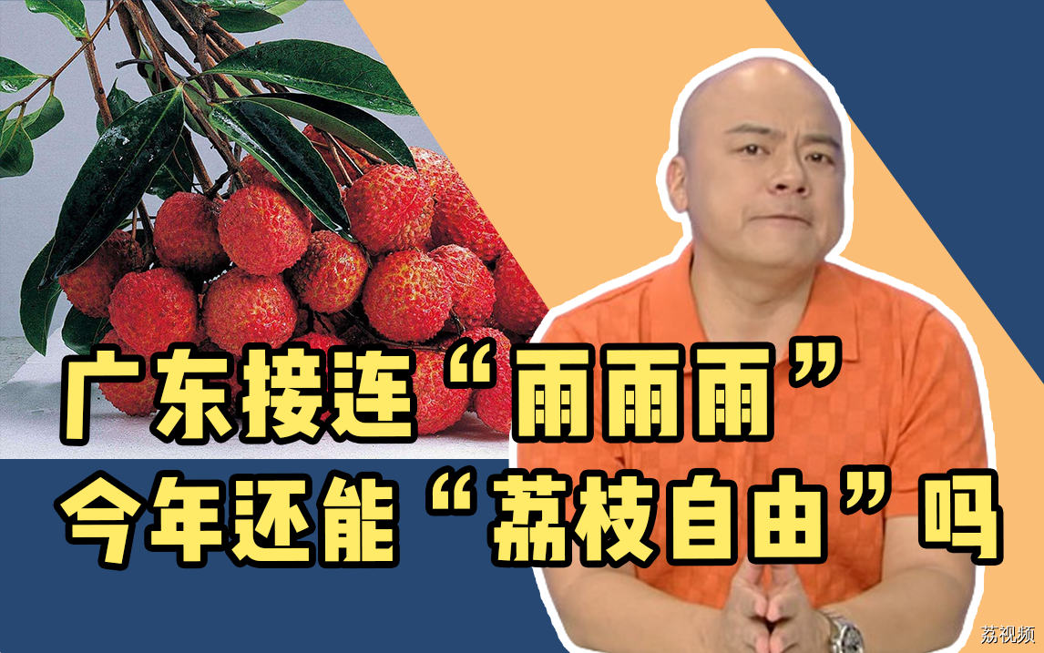 广东接连“雨雨雨”，今年还能实现“荔枝自由”吗？