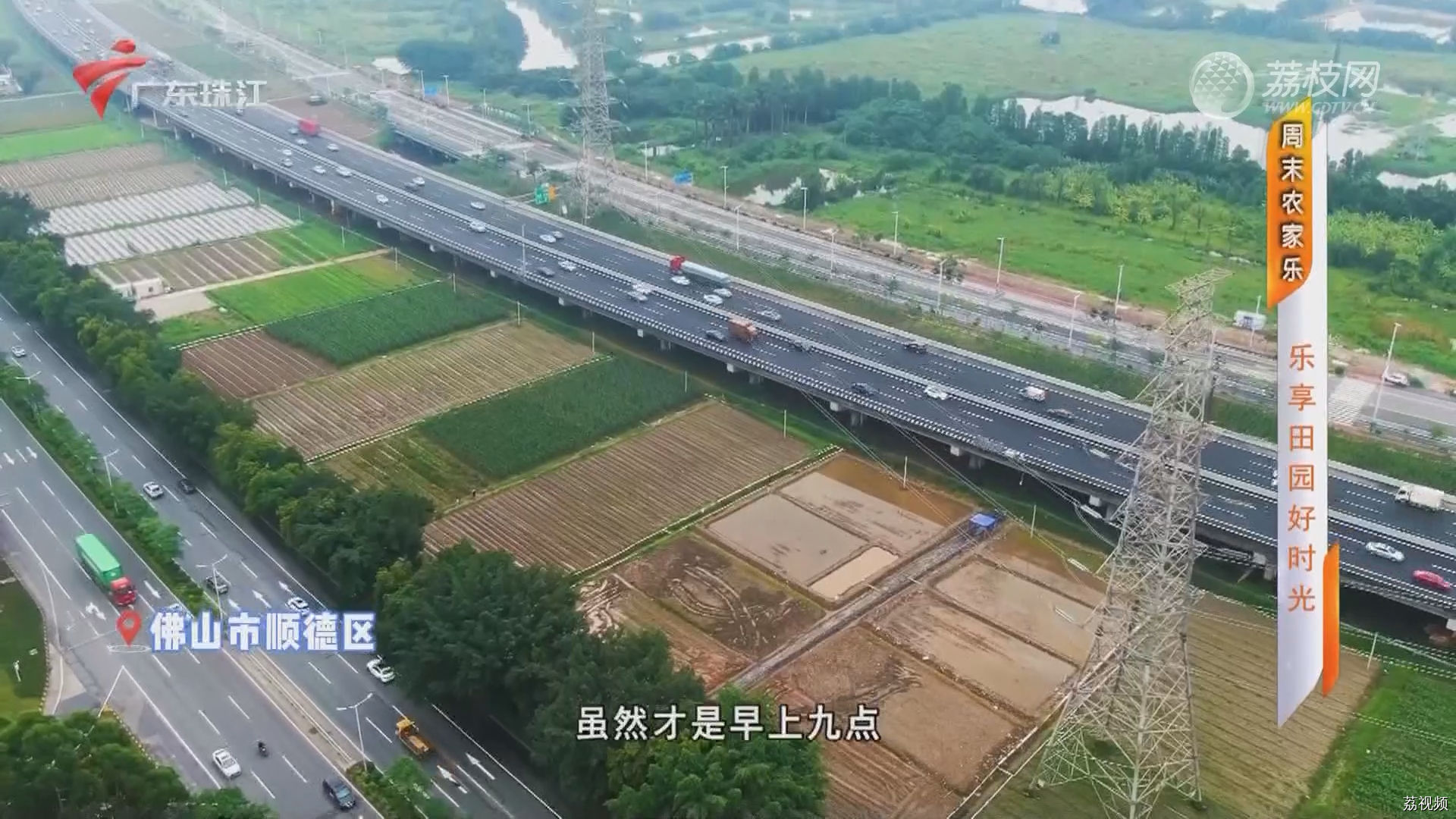 [2024-05-09]摇钱树：周末农家乐：乐享田园好时光