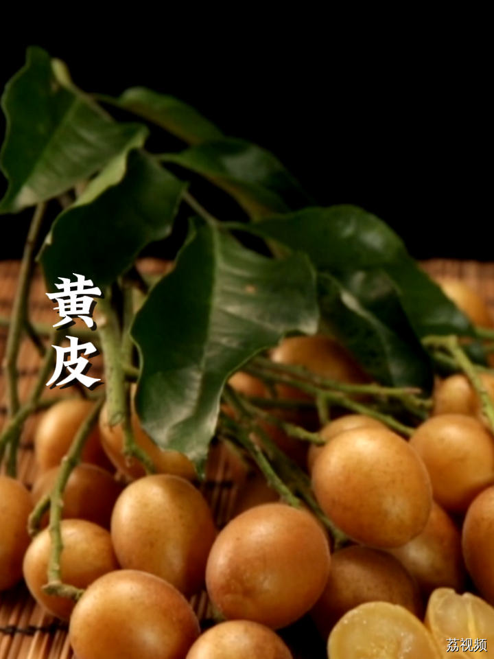 又到吃黄皮的季节，那黄皮吃不完还能做什么好吃的呢？ #老广的味道 #农村美食