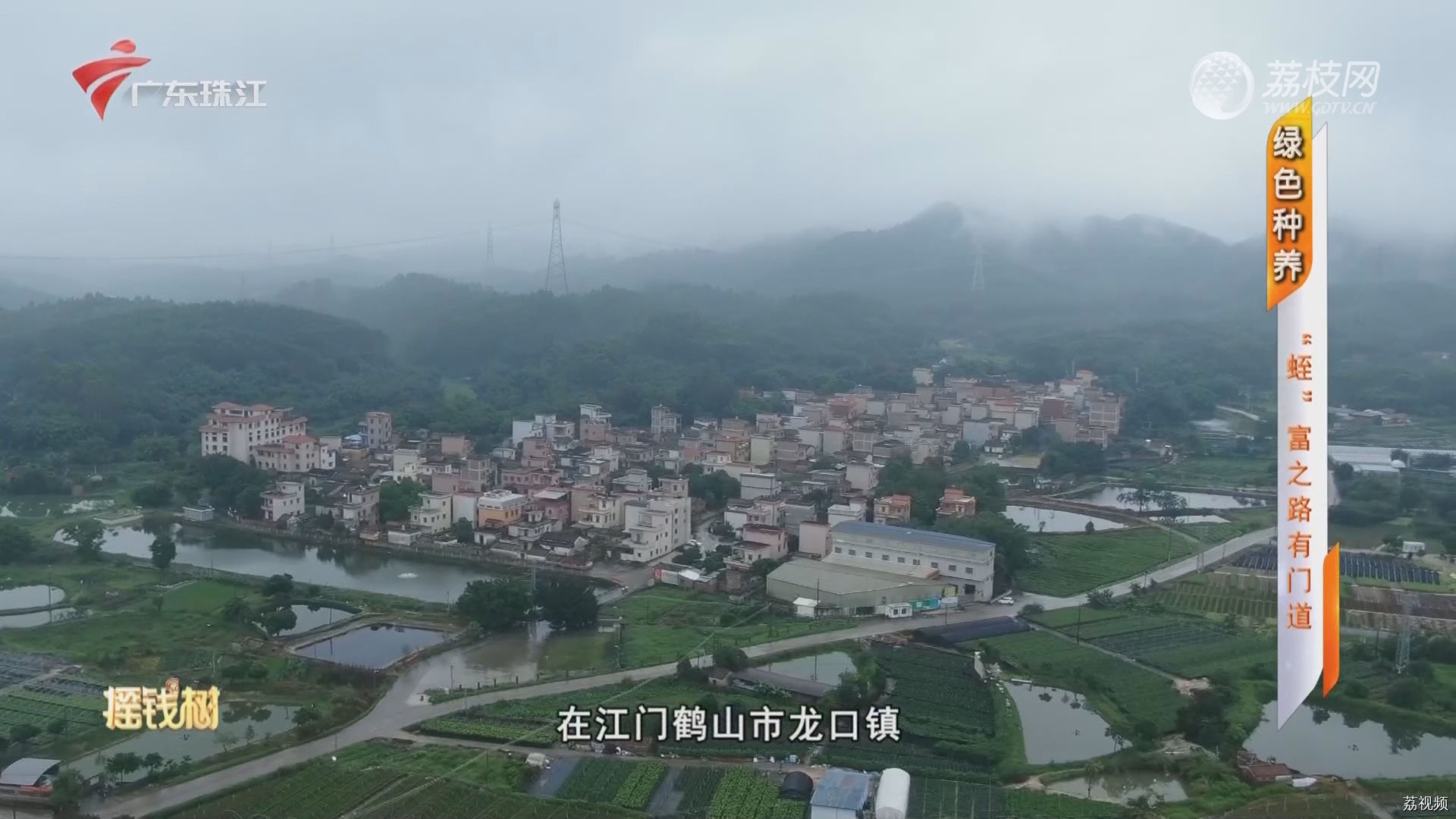 绿色种养：“蛭”富之路有门道
