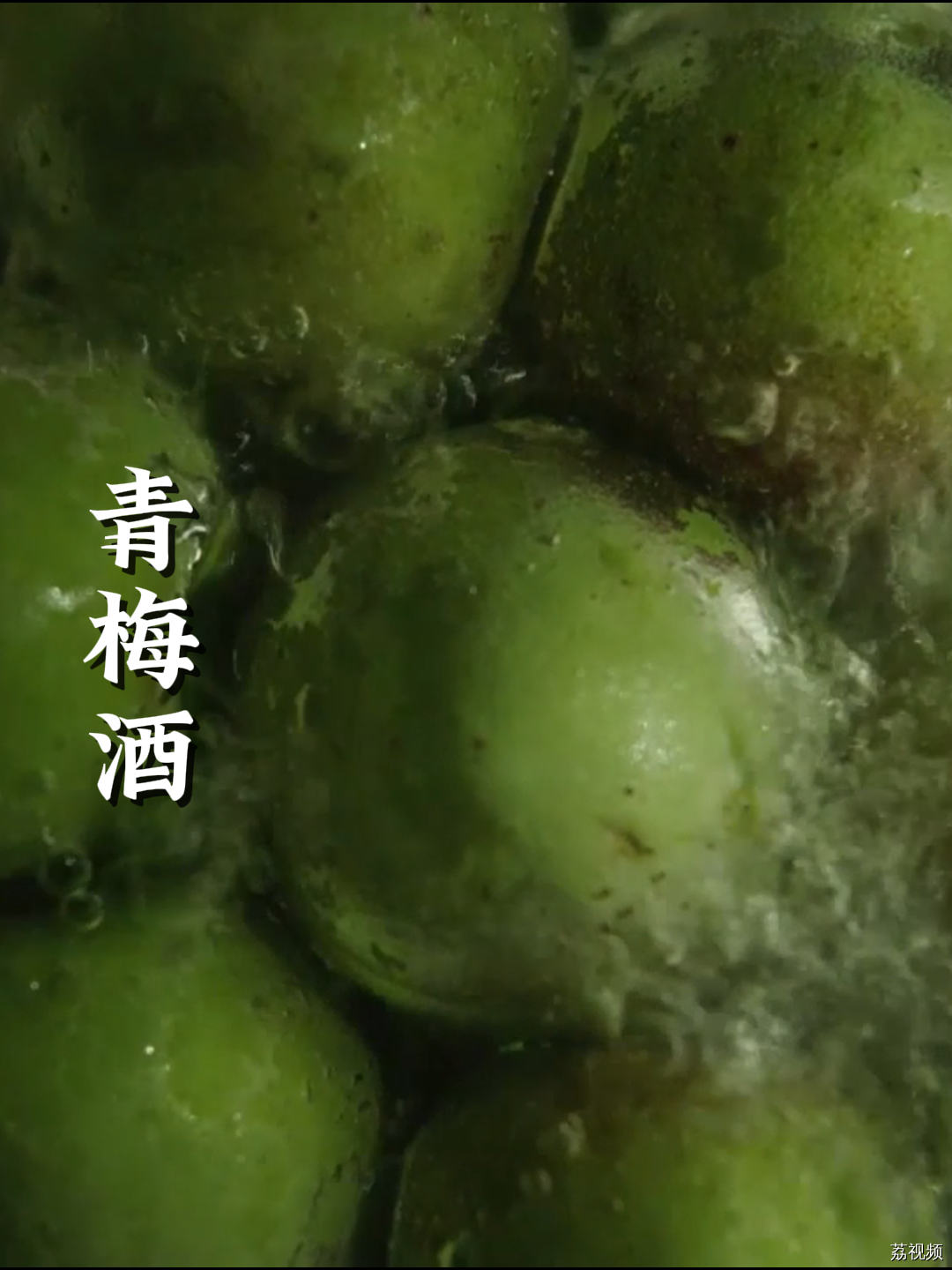 泡青梅酒有什么需要注意的，潮汕大哥来教你~#老广的味道 #纪录片 #家常菜