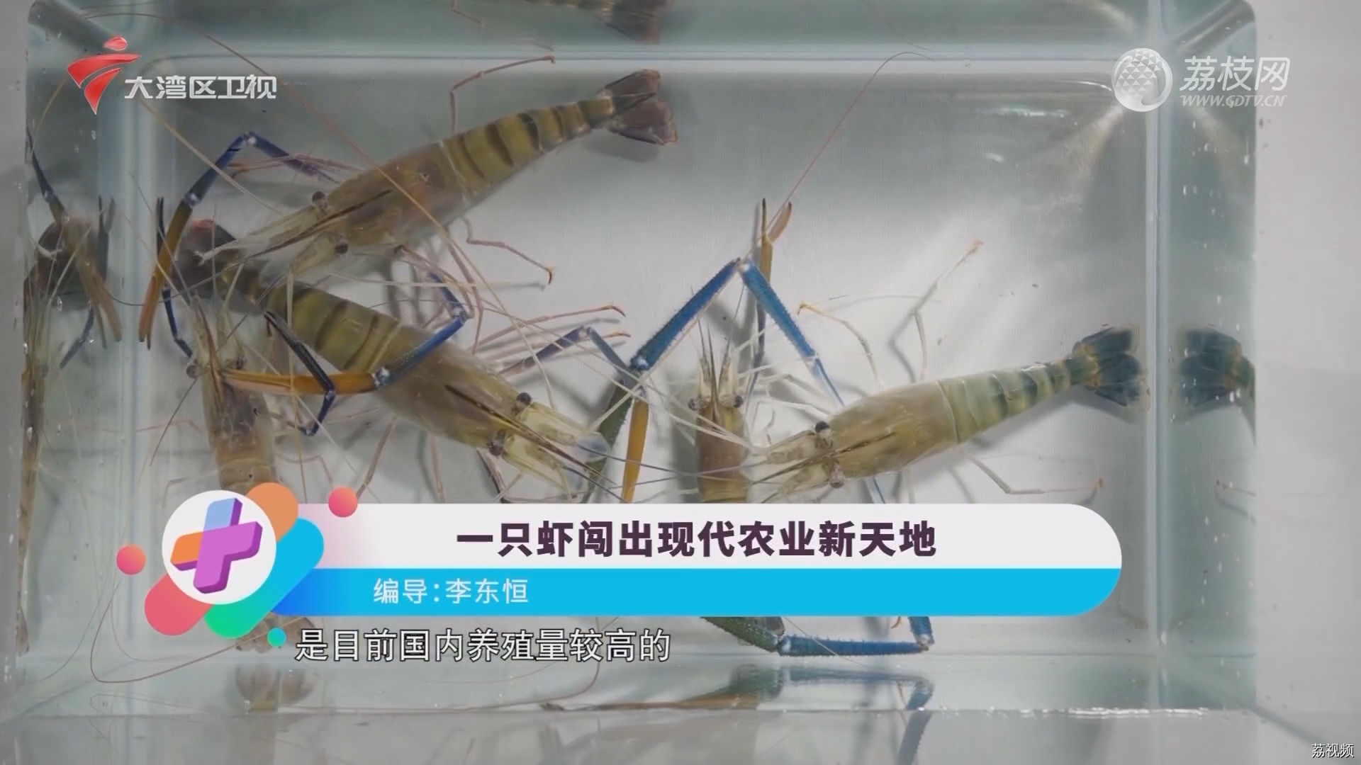 一只虾闯出现代农业新天地