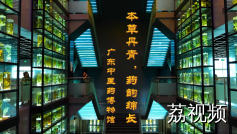 广东中医药博物馆：草本丹青 药韵绵长