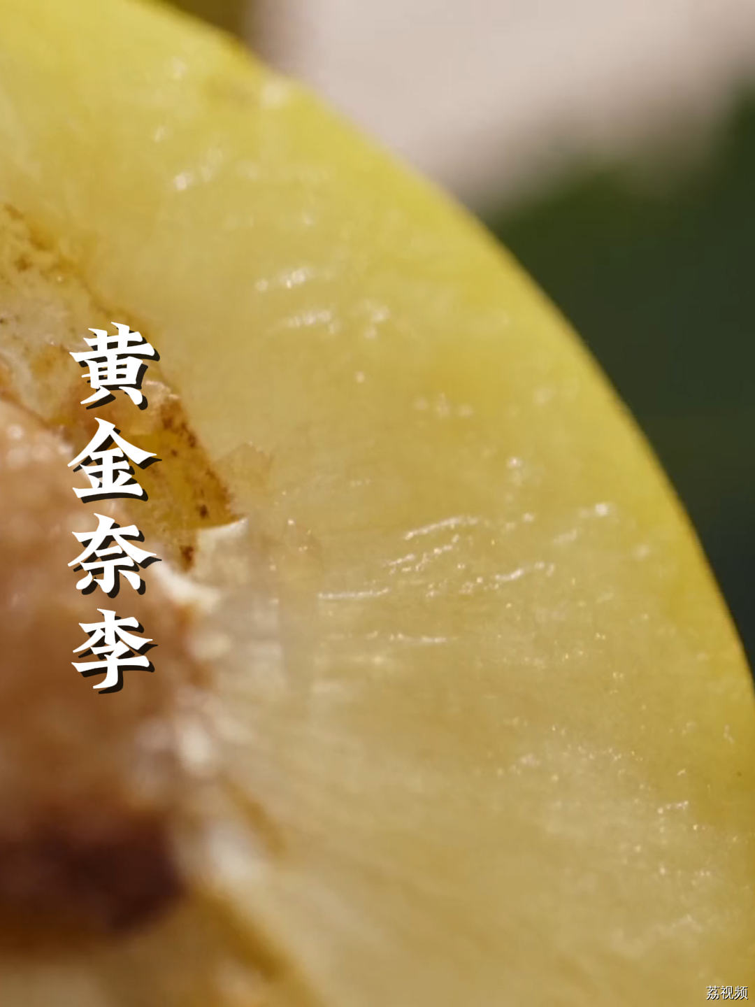 赏味期只有十天，甜润多汁，夏日限定“金果果”#老广的味道 #纪录片 #家常菜