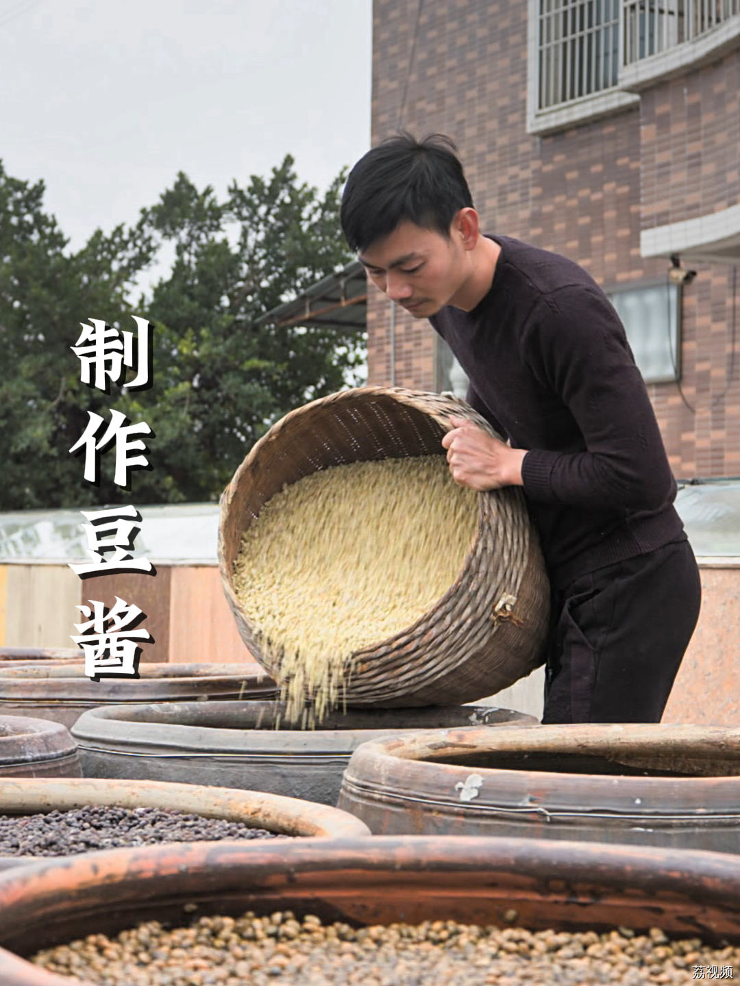 从街边小摊到人均上千的米其林都有它的身影，普宁豆酱到底有多百搭~#老广的味道 #纪录片 #家常菜