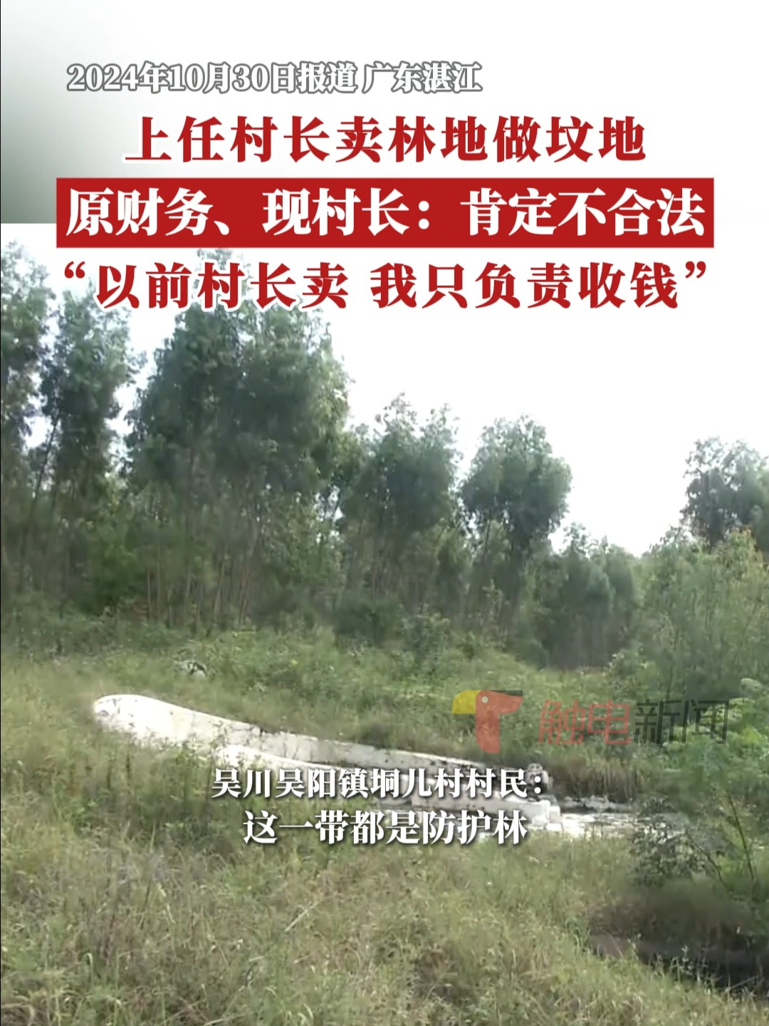 上任村长卖林地做坟地，原财务、现村长回应“我只负责收钱”