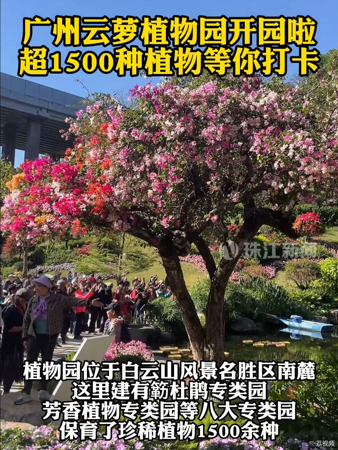 广州全新的“植物王国仙境”——云萝植物园正式开园！记者：余欢