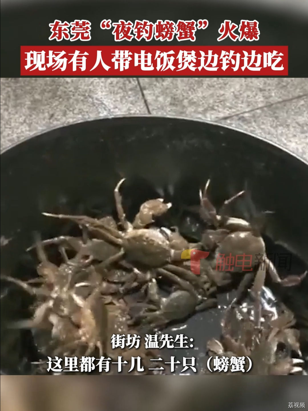 东莞钓友带电饭煲边吃边钓螃蟹