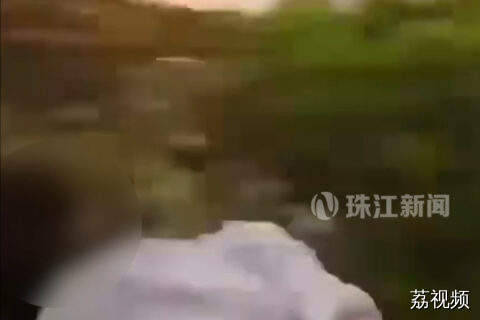 中国女游客国外火车探身拍摄坠车 幸运落在灌木丛仅擦伤