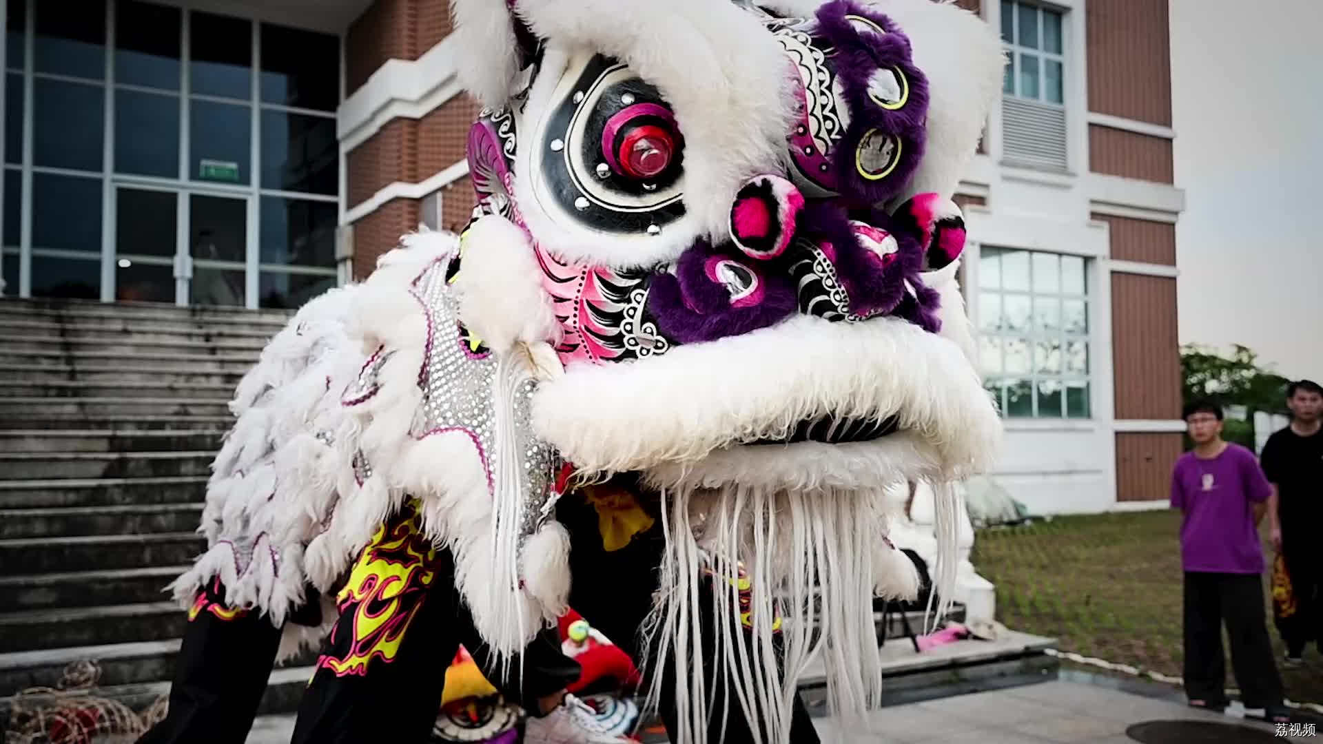 “冼村杯”第七届天河狮王争霸赛参赛队伍｜私立华联学院武术龙狮团