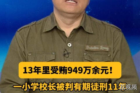 #dv短评 13年里受贿949万余元！