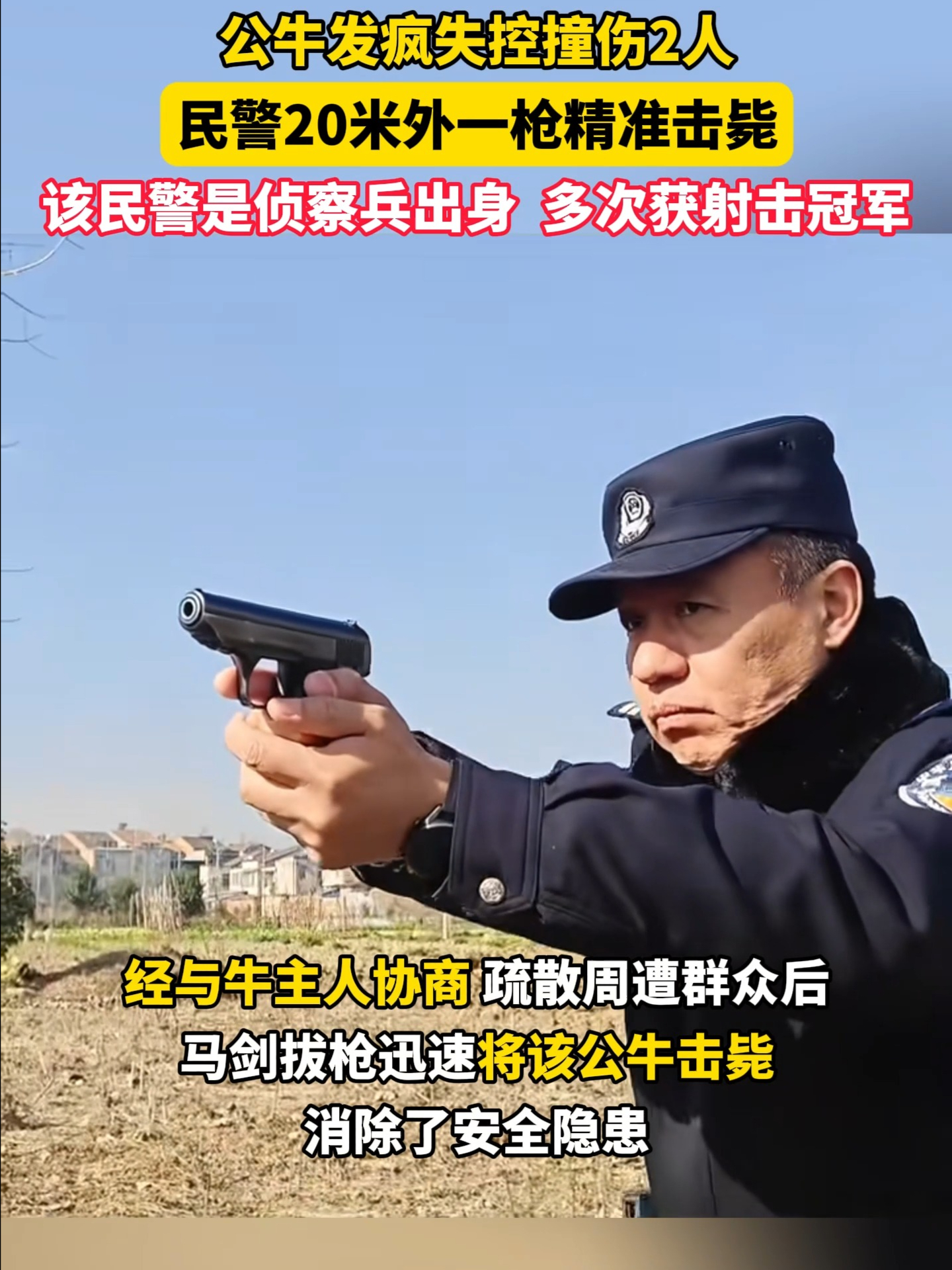 湖北一头公牛发疯撞伤两位村民