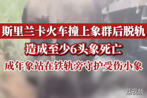 斯里兰卡火车撞上象群后脱轨，造成至少6头象死亡