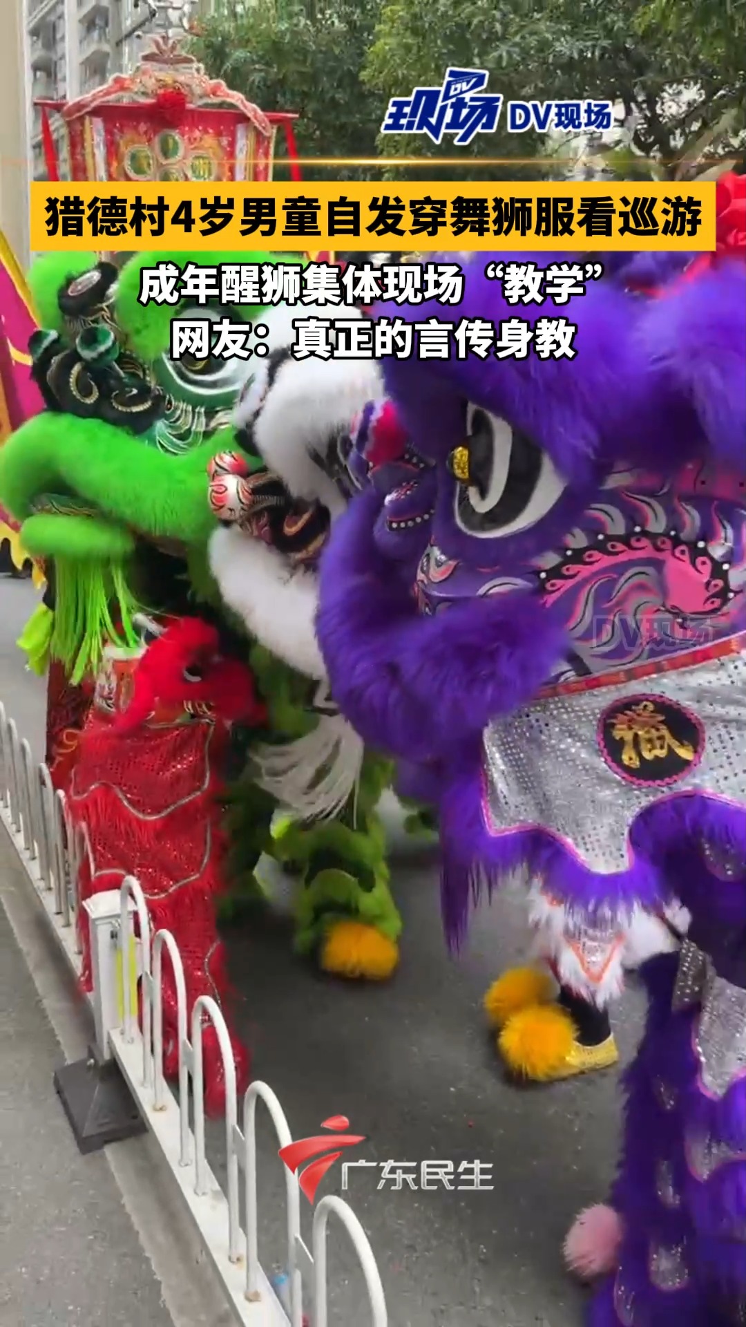 猎德村4岁男童自发穿舞狮服看巡游,成年醒狮集体现场“教学” | 荔视频