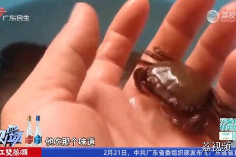 10岁男童被这种虫钻进心脏！只因3年前一个举动