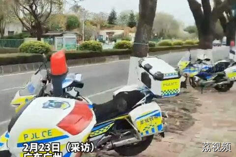 交警在洛溪大桥下桥位查车