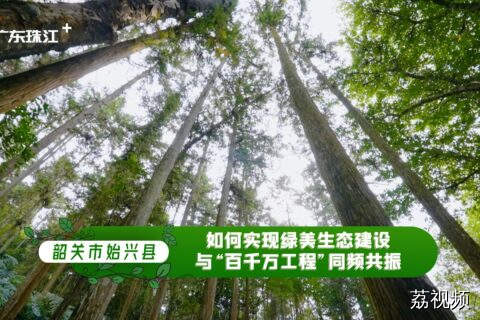 奋进百千万之向绿图强：韶关始兴这样干