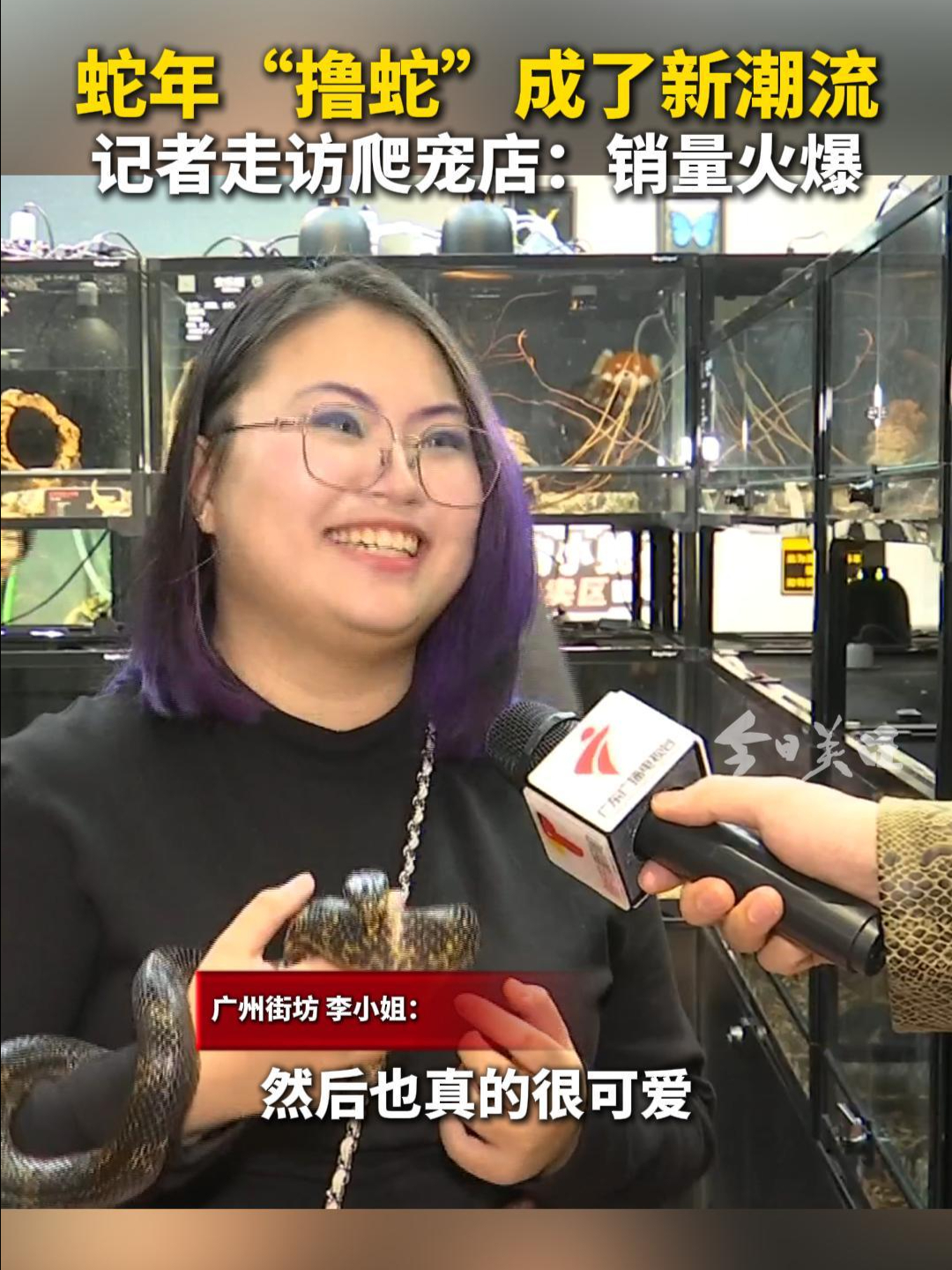 蛇年“撸蛇”成了新潮流 记者走访爬宠店：销量火爆