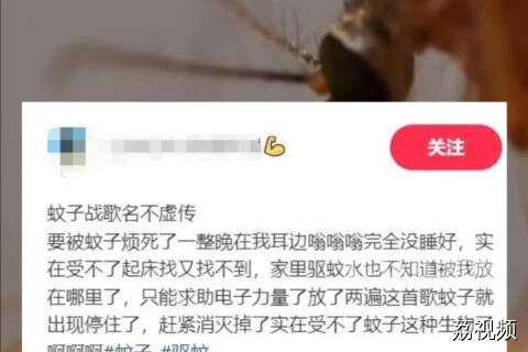 “灭蚊神曲”真有用？专家：音乐频率正好致其“低攻击欲望”