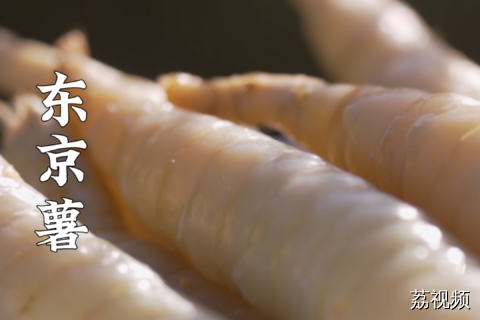 近期爆火的网红食材，南方的一种土特产。#老广的味道