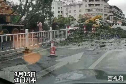 江门突发强对流天气，大树被吹倒 砸中途经车辆