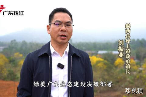 揭西县坪上镇政府镇长刘振业采访