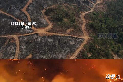 #记者现场直击肇庆怀集天胜岭突发山火，目前明火已扑灭