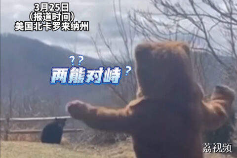 美国一男子扮成玩偶熊，成功吓跑闯入自家后院的真熊。