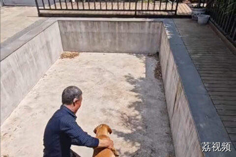 捕鼠团队整个垮掉！