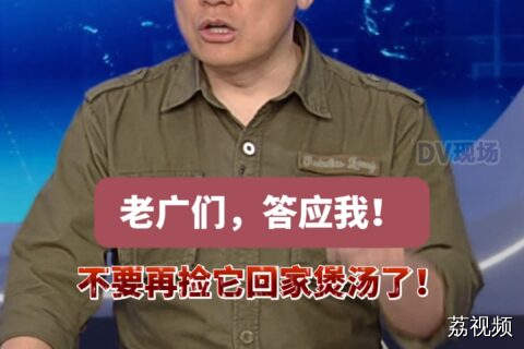 #dv短评，老广们，答应我！不要再捡它回家煲汤了！