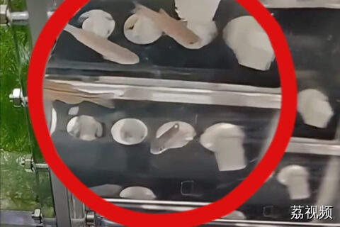 神舟二十号惊现“鱼航员”，来自华工的6条鱼上天搞科研