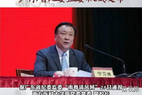 退休一年后 宁习洲主动投案