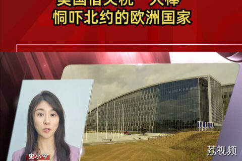 美国借关税“大棒”恫吓北约的欧洲国家