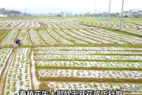 预计下周我省多云间阴天有雷阵雨天气为主，农业生产应如何做？
