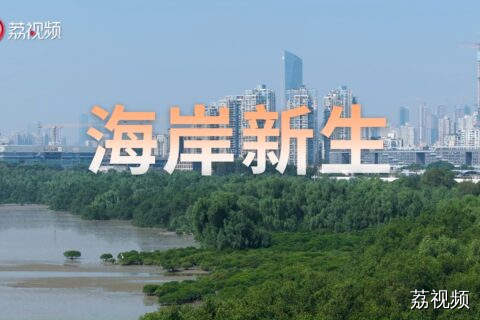 《识“碳”再出发》第九集《海岸新生》全球气候变暖威胁海洋生态。海洋吸收了90%的温室气体热量，导致水温上升，严重影响生态平衡。我国保护生态环境的行动，不仅保护了生物多样性，还增强了海岸线抵御气候变化的能力，彰显了人与自然和谐共处的智慧。