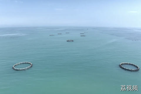 GDP增长4.1%，广东一季度经济数据发布