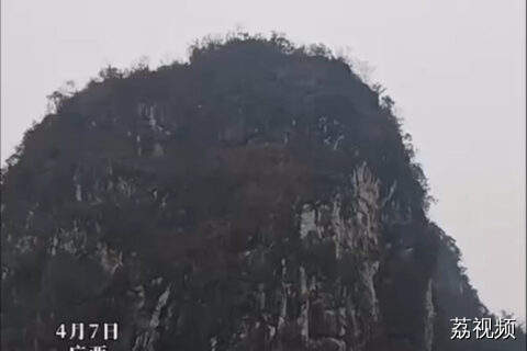 猴子借助悬崖峭壁上的树枝快速下山
