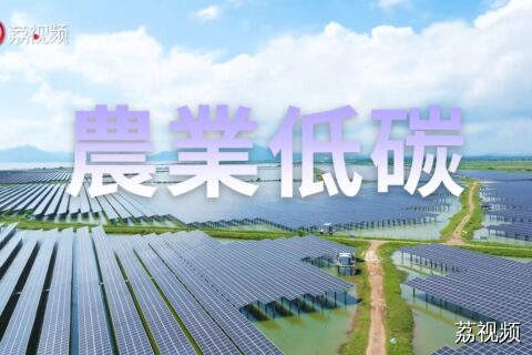 《识“碳”再出发》第八集《农业低碳》 在创新驱动与绿色发展的理念下，中国农业正通过技术变革，开创低碳转型新路径。中国农业正探索可持续发展之路，为全球农业低碳转型贡献“中国方案”。