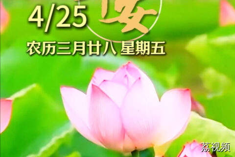 4月25日 | 时至暮春 暖阳煦煦 朝暮皆安 万事皆顺