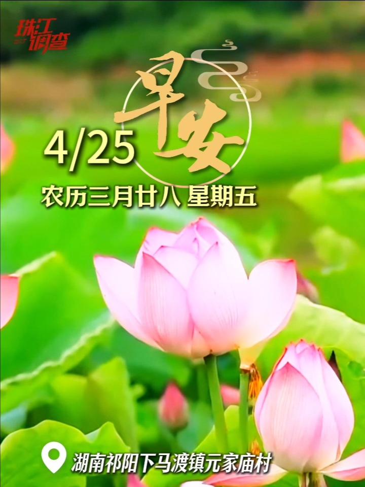 4月25日 | 时至暮春 暖阳煦煦 朝暮皆安 万事皆顺