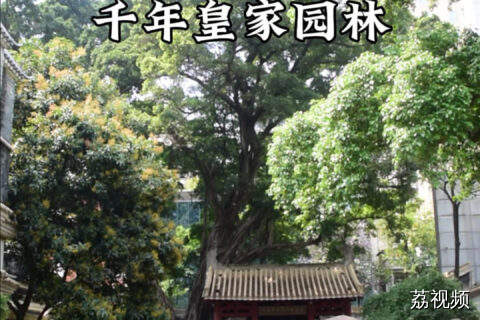 千年园林藏闹市！广州这个秘境，竟是南汉皇帝的御花园！