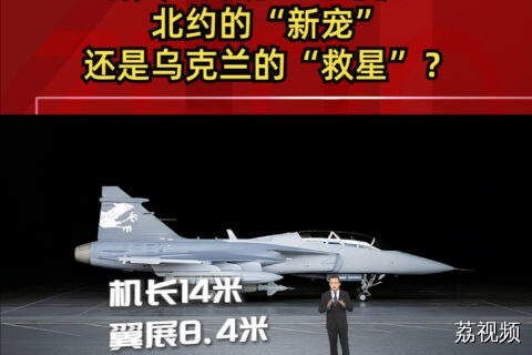 瑞典“鹰狮”战斗机：北约的“新宠” 还是乌克兰的“救星”？