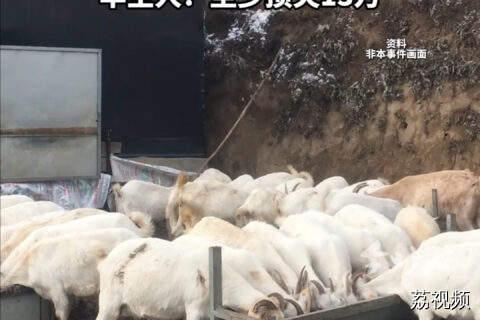 老人祭祀引山火 烧死67只羊没钱赔