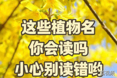 这些植物名你会读吗？小心别读错哦！