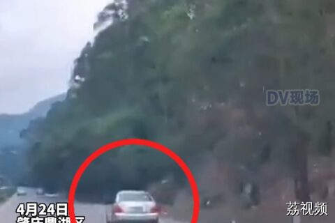 #肇庆一小车撞向路边引发山火，热心路人讲述救人过程