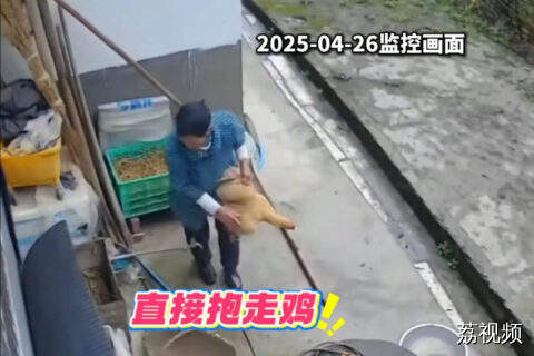 男子家中无人，翻监控发现邻居疑似上门偷鸡偷蛋